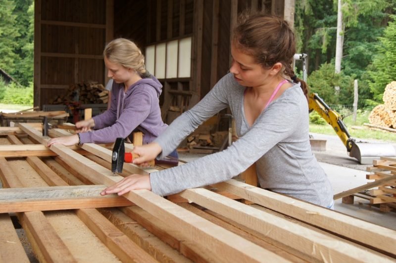 Schülerinnen und Schüler bauen Baumschutzgatter im Wald