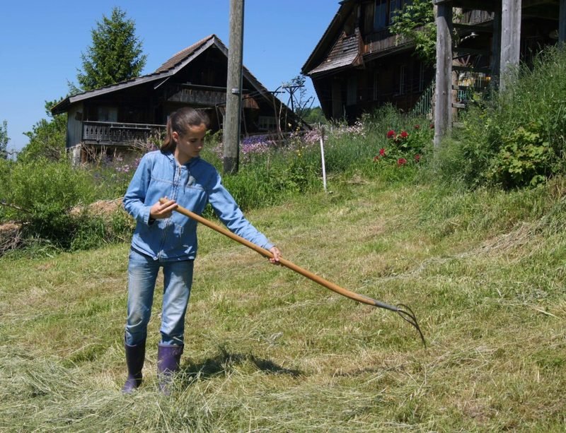 Jugendliche beim Heuen auf einer Bergwiese