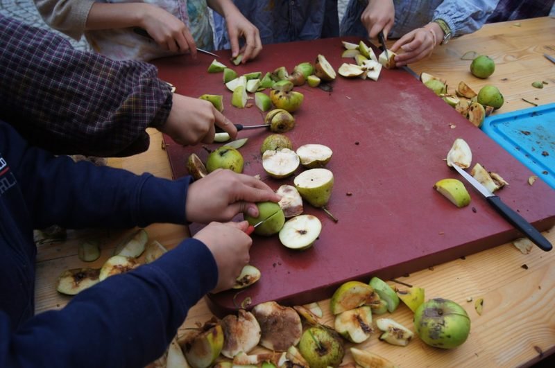 Viele Hände schneiden gemeinsam Äpfel für das Erntedankfest