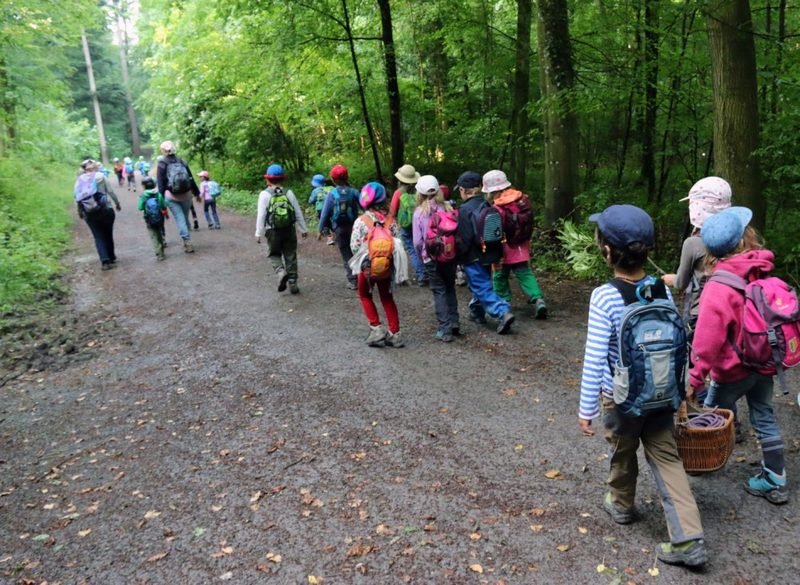 Kindergartengruppe unterwegs auf dem Waldweg, mit Körben und Rucksäcken