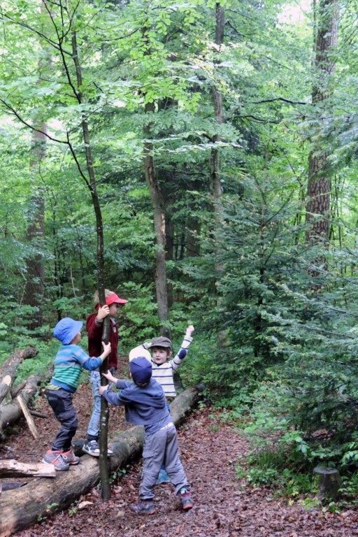 Kinder bauen beim Waldmorgen mit Ästen zwischen den Bäumen